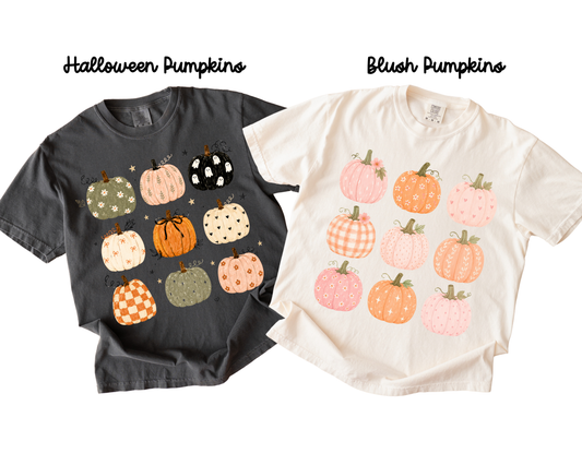 Cozy Pumpkins Tee & Sweatshirt